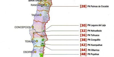 Peta futaleufu Chile